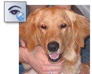 Red Eye